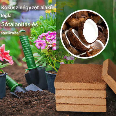 đ„ăVĂĄsĂĄroljon 3-at, kap 3-at ingyenăđ±đ± TĂĄplĂĄlĂł kĂłkusztĂ©gla talaj