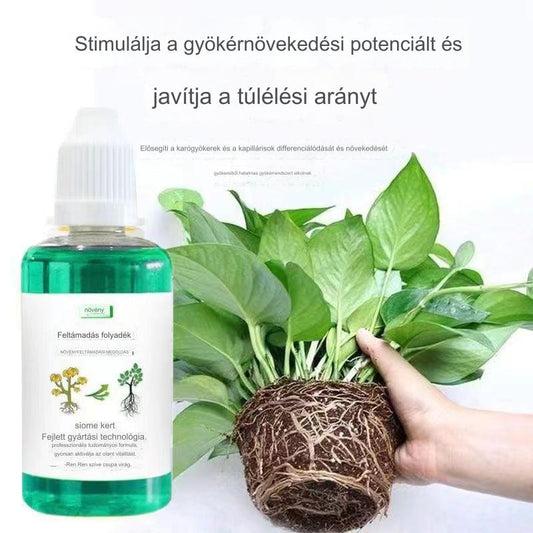 🌱🌱【3 részes készlet】Növény- és virágaktiváló folyékony oldat